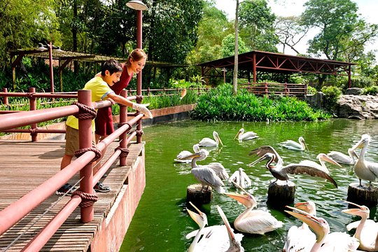 Tour image 7