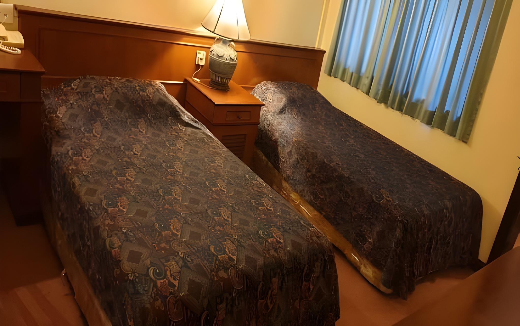 Standard Twin Room at South East Asia Hotel, photo 4